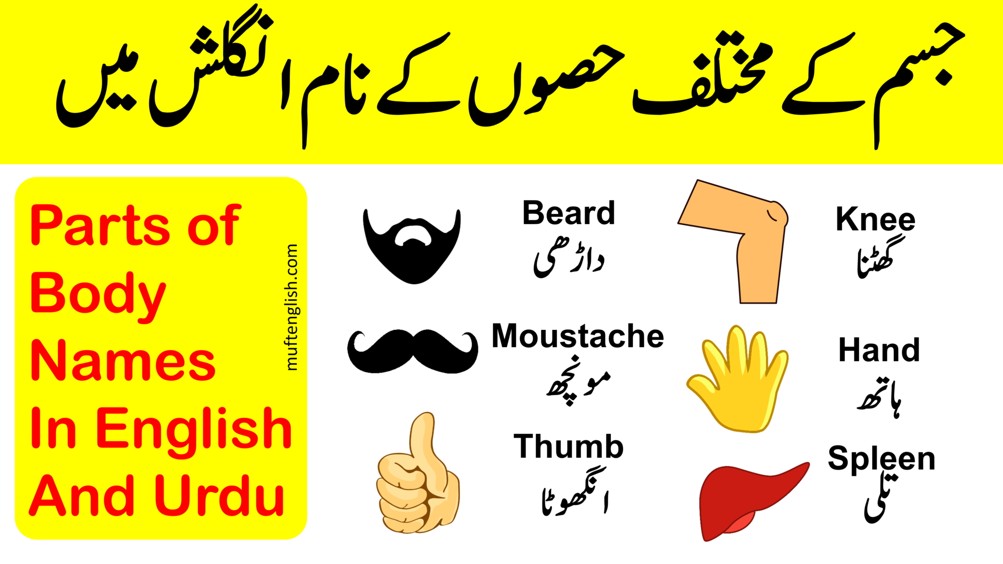 50-parts-of-body-names-in-english-and-urdu