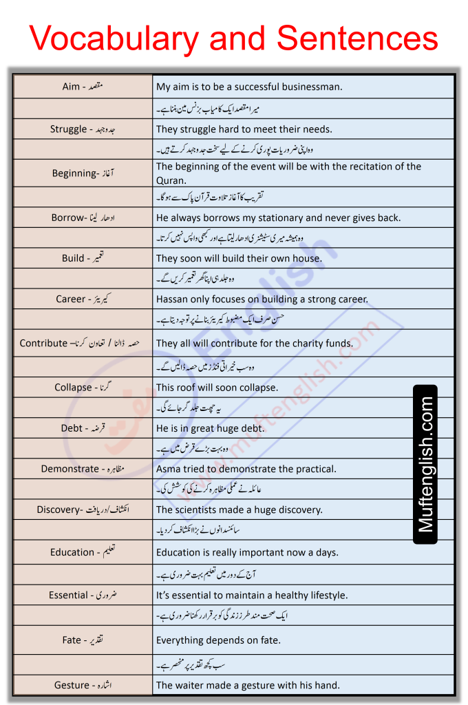 Vocabulary and Sentences