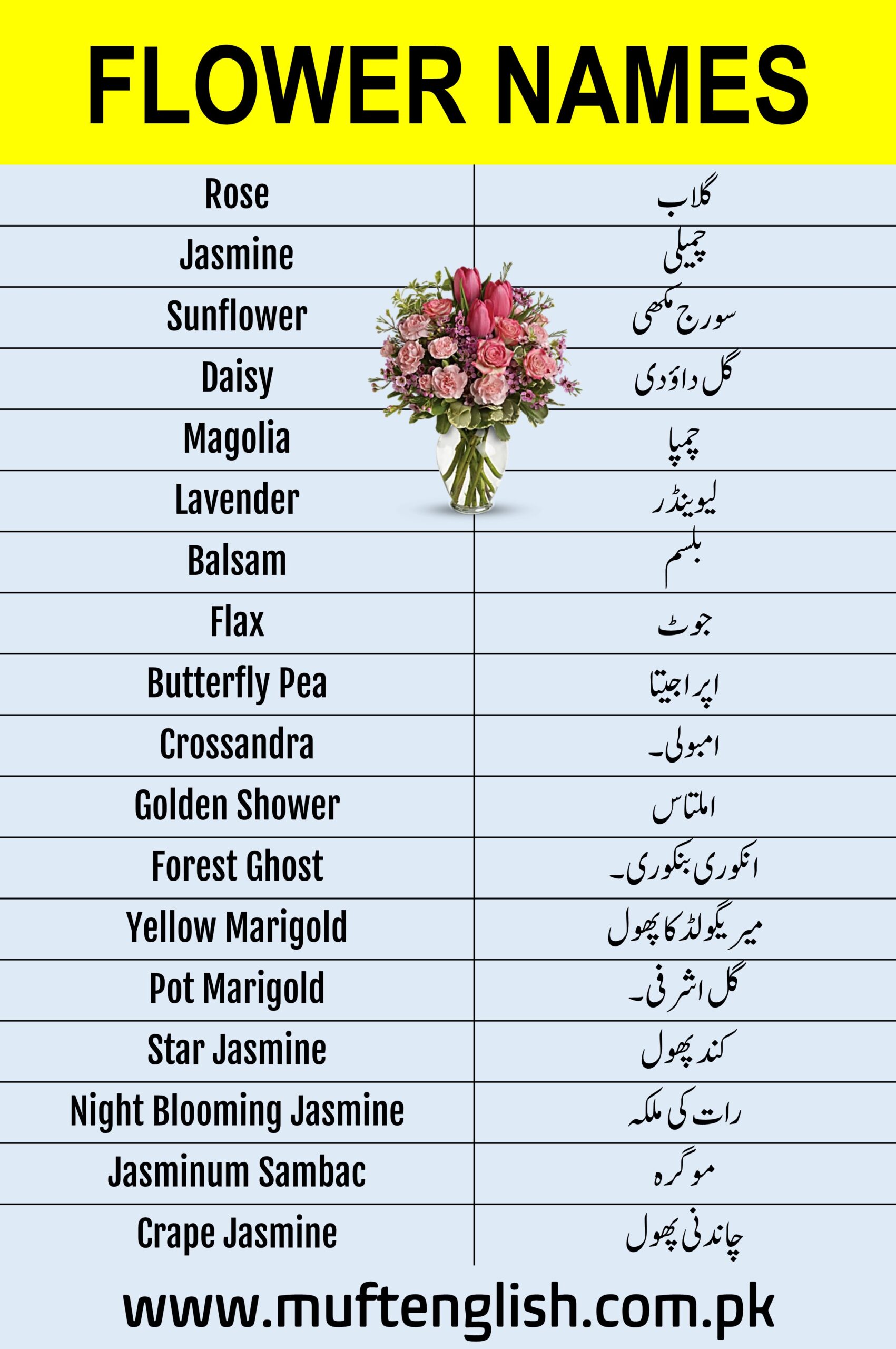 Flowers Vocabulary in English and Urdu