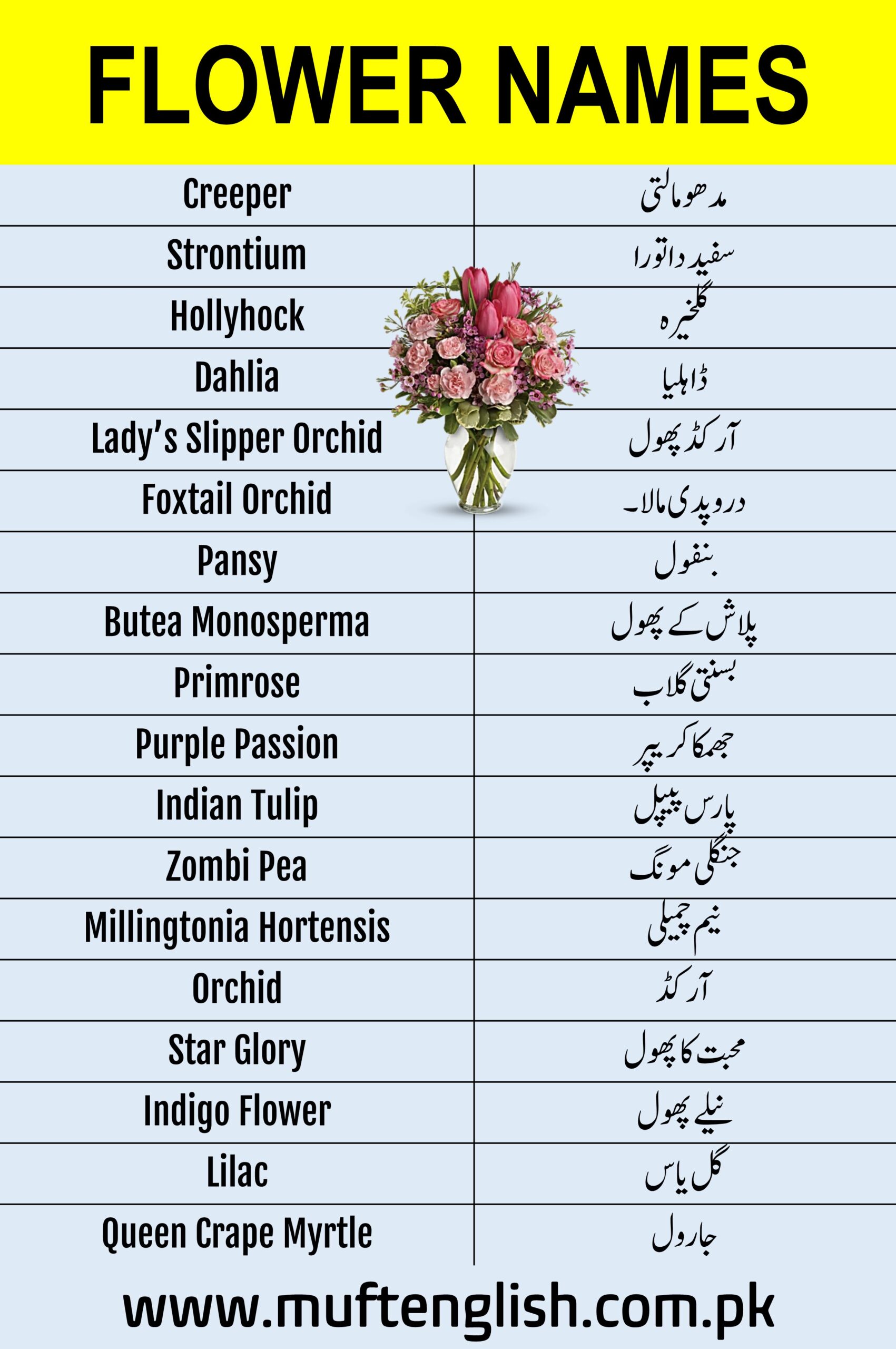 Flowers Vocabulary in English and Urdu