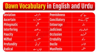 Dawn Vocabulary List with Urdu Meaning