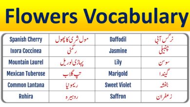 Flowers Vocabulary in English and Urdu