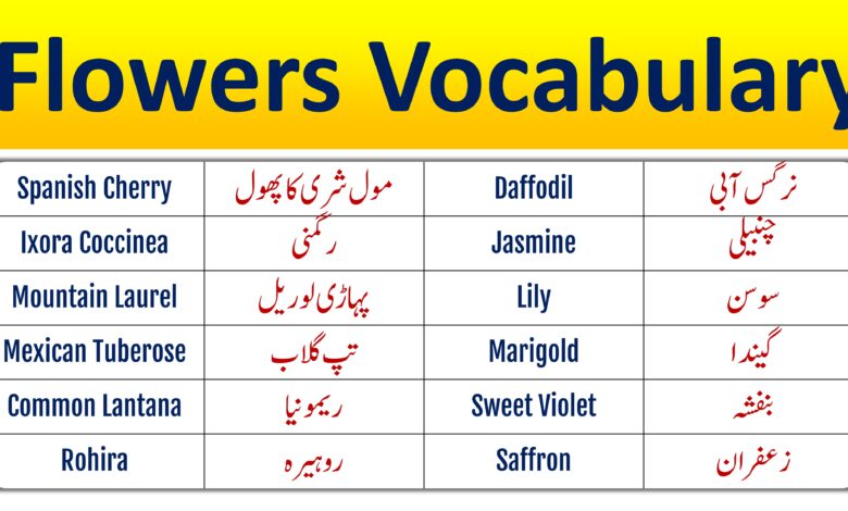 Flowers Vocabulary in English and Urdu