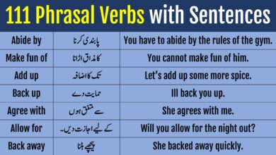 Phrasal Verbs With Urdu Translation