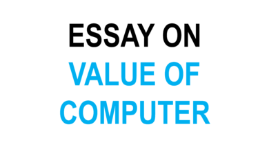 Essay On The Value Of Computer PDF