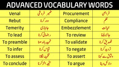 Dawn Vocabulary Words in English with Urdu