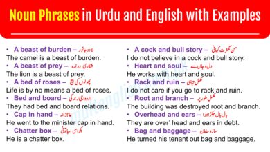 100+ Noun Phrases in Urdu with Examples