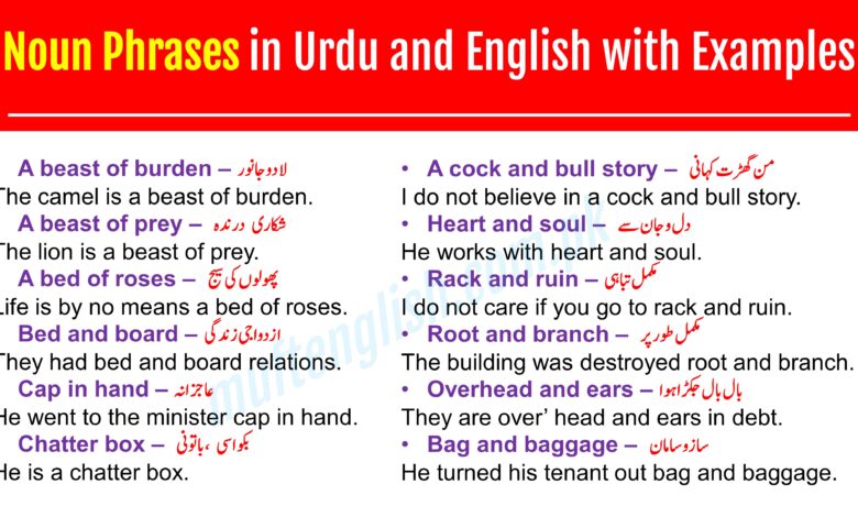 100+ Noun Phrases in Urdu with Examples