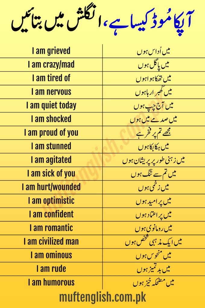 Daily Used Engish To Urdu Sentences To Describe Mood and Feeling