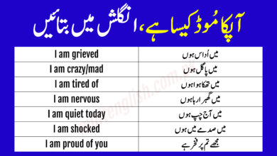 Urdu to English Translation Practice about Mood and Feeling