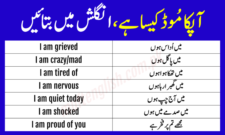 Urdu to English Translation Practice about Mood and Feeling