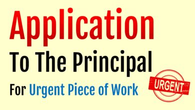 Application To The Principal About an Urgent Piece of Work