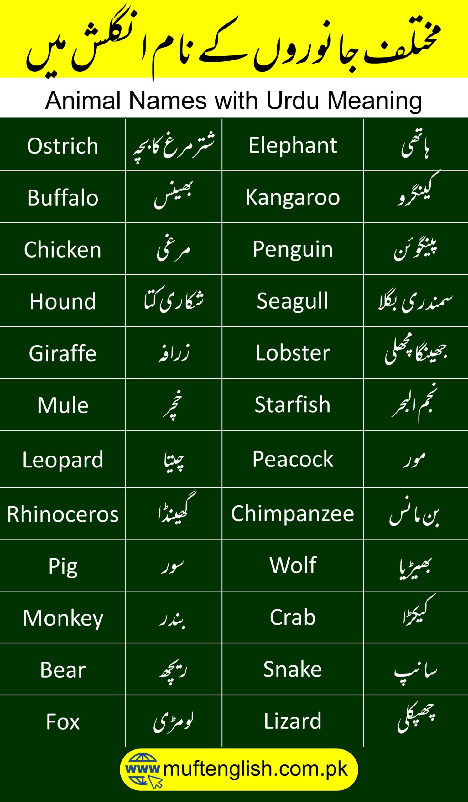 50 Animal Names in English and Urdu | Janwaro Ke Naam in Urdu