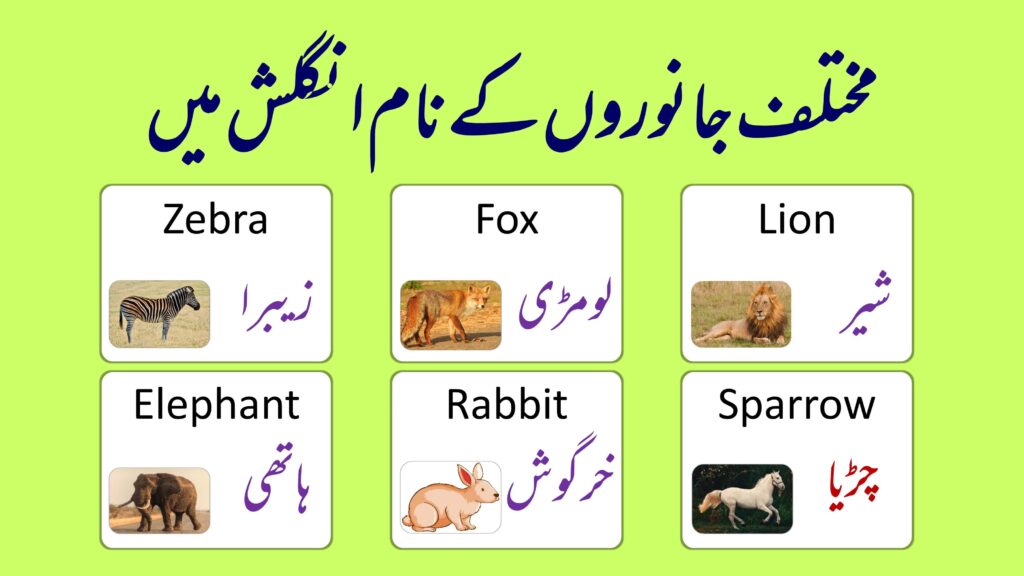 50 Animal Names in English and Urdu | Janwaro Ke Naam in Urdu