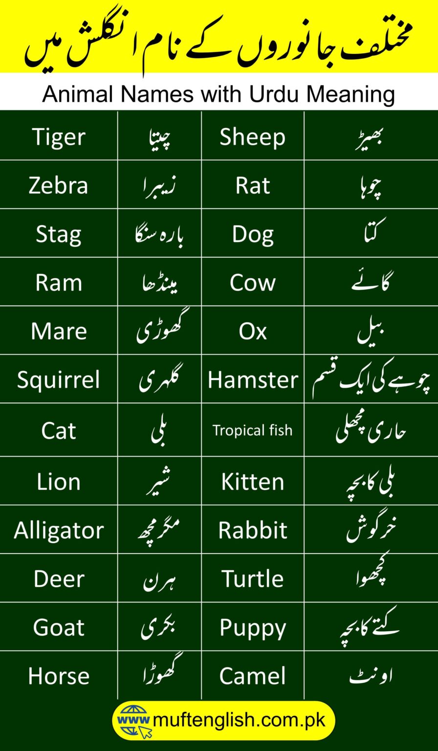 50 Animal Names in English and Urdu | Janwaro Ke Naam in Urdu